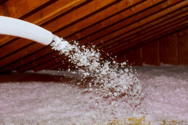 Types of Insulation We Offer in Clarks Green, PA