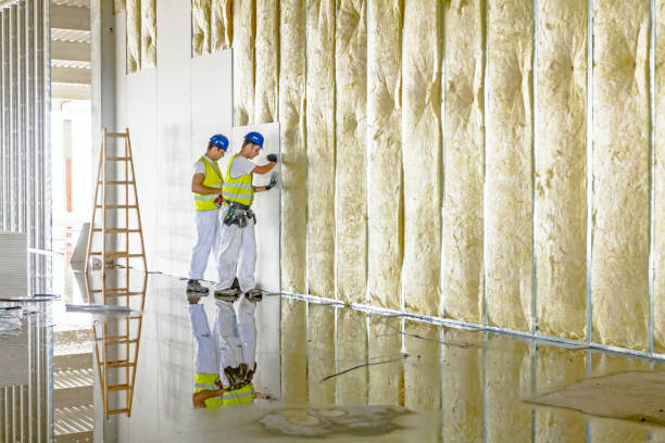 Best Insulation Maintenance and Repair in Clarks Green, PA